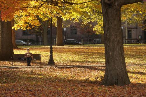 New Haven Green in Fall