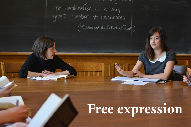 Free Expression image