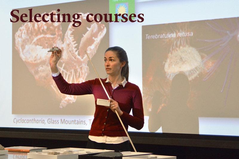 selecting courses image