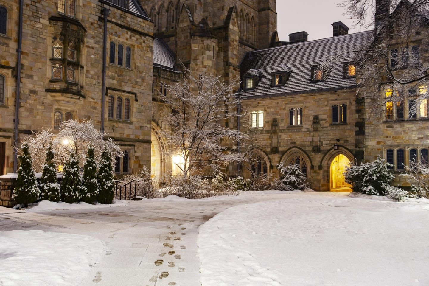 Transfer Course Selection Yale College